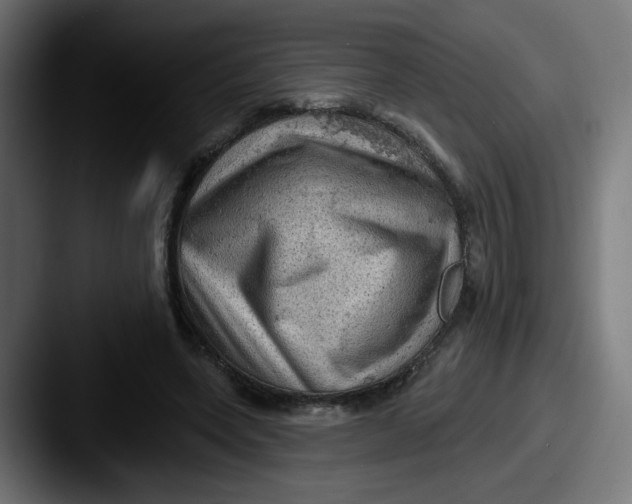 X0000087550543200705181108