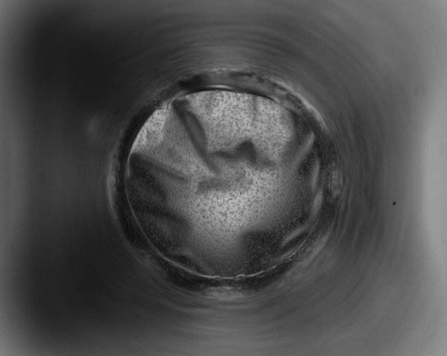 X0000087550544200705181108