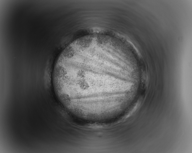 X0000087550545200705181108