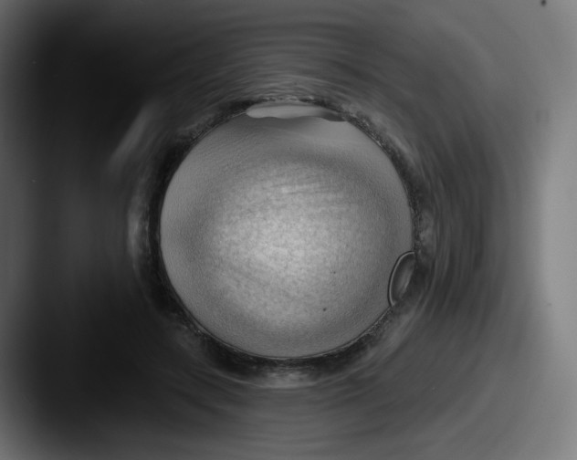 X0000087550547200705181108