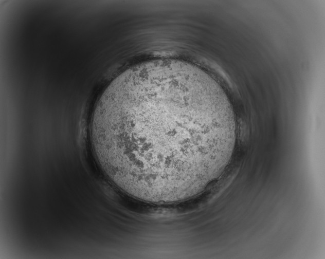 X0000087550549200705181108