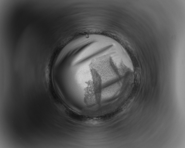 X0000087550550200705181108