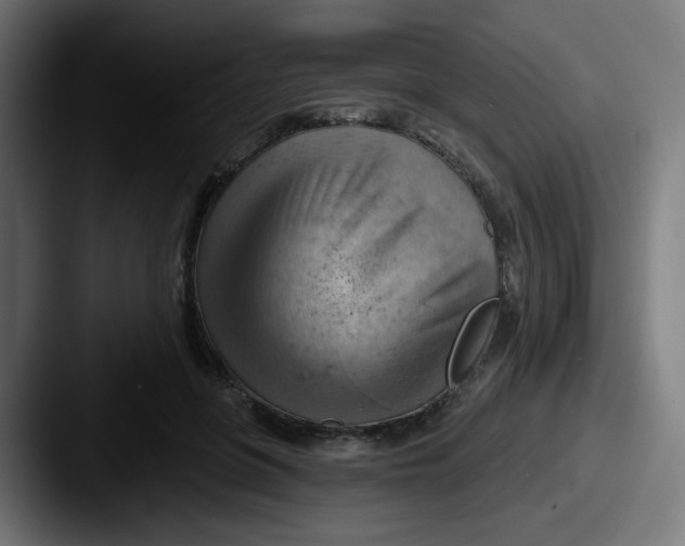 X0000087550551200705181108