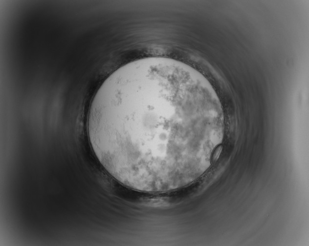 X0000087550553200705181108