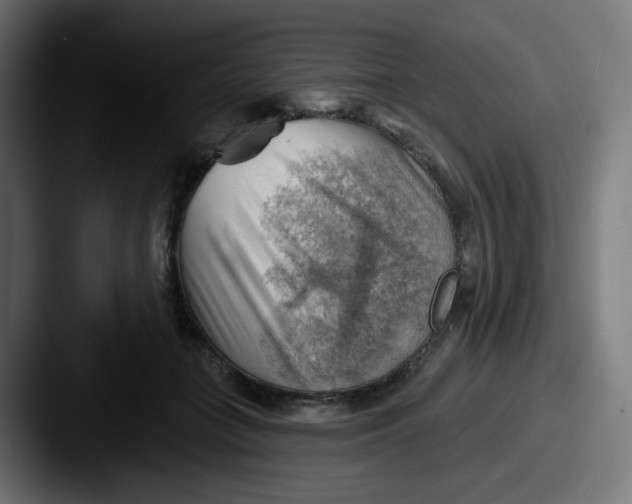 X0000087550555200705181108