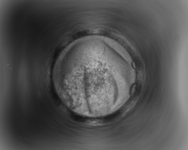 X0000087550557200705181108