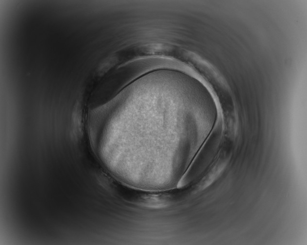 X0000087550558200705181108