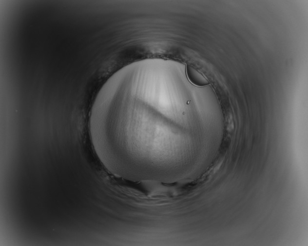 X0000087550559200705181108