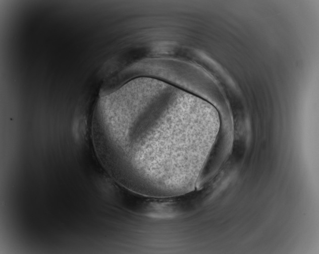 X0000087550560200705181108