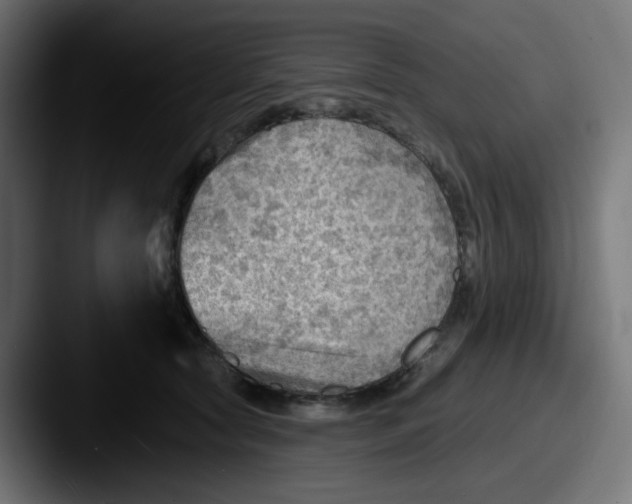 X0000087550561200705181108