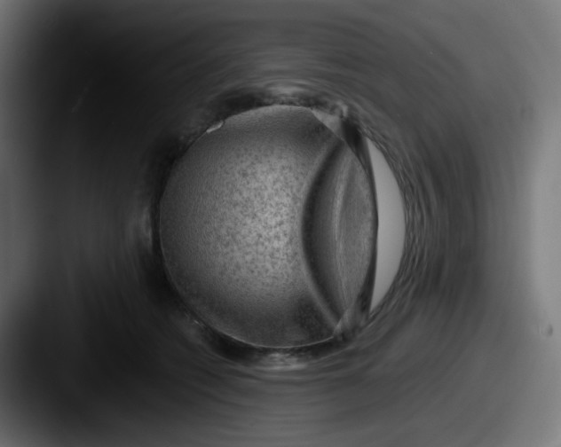 X0000087550562200705181108