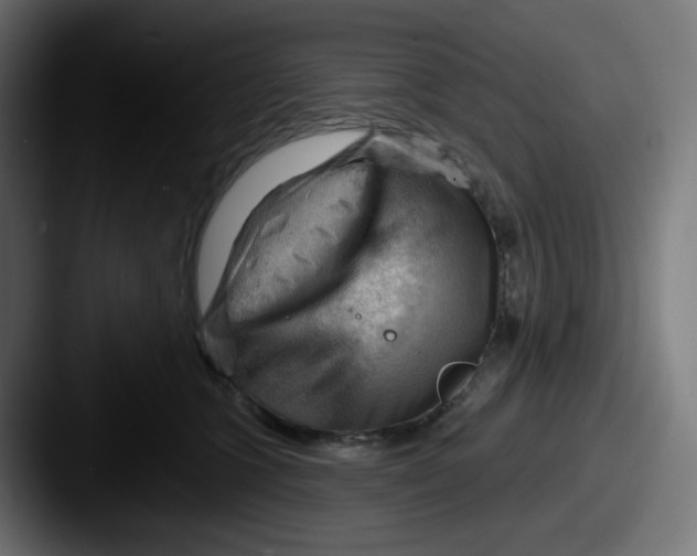 X0000087550563200705181108