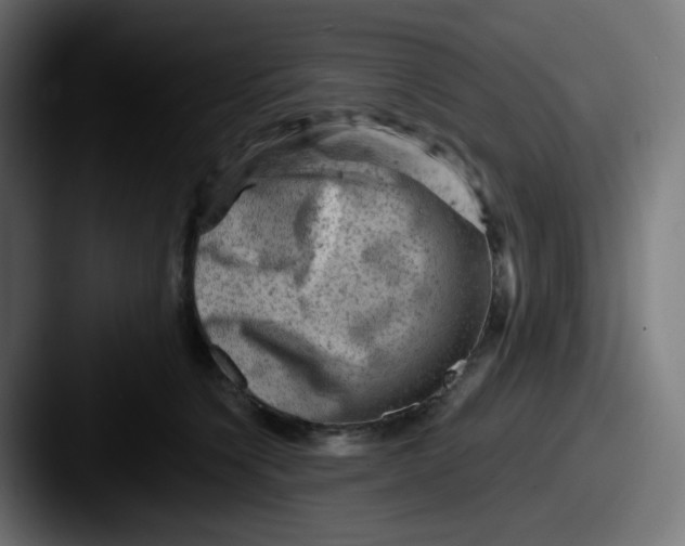 X0000087550564200705181108