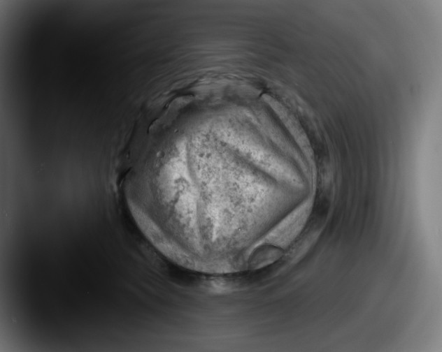 X0000087550565200705181108