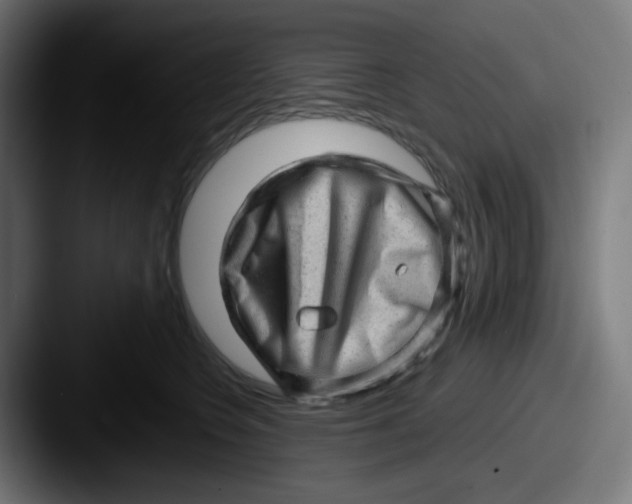 X0000087550566200705181108