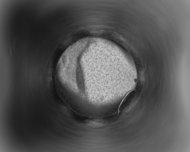 X0000087550567200705181108