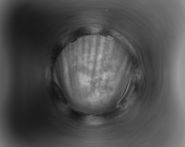 X0000087550568200705181108