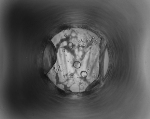 X0000087550569200705181108