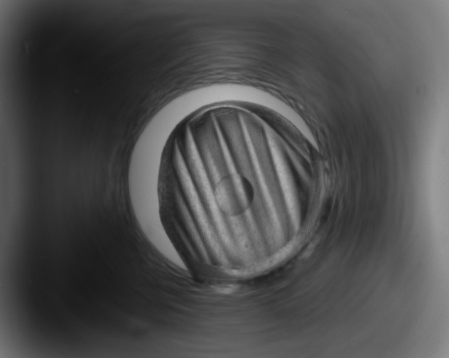 X0000087550570200705181108