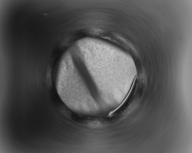 X0000087550572200705181108