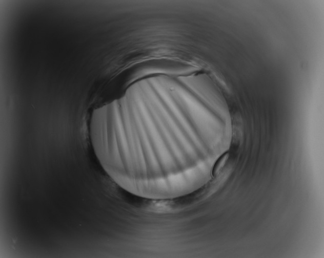 X0000087550573200705181108