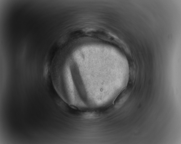 X0000087550574200705181108