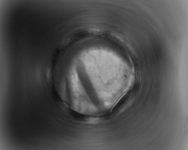 X0000087550575200705181108