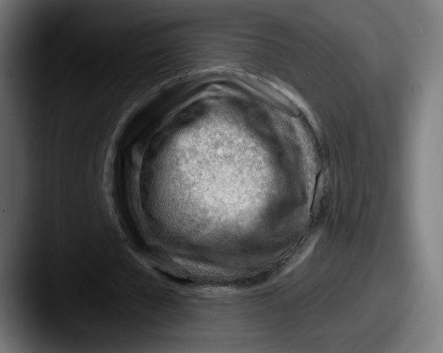 X0000087550577200705181108