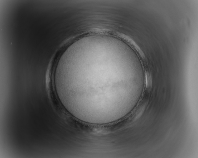 X0000087550579200705181108