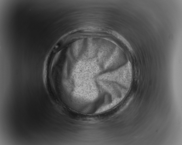 X0000087550580200705181108