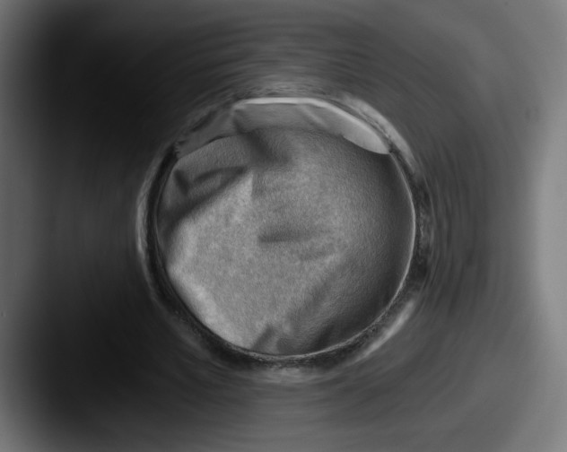 X0000087550581200705181108