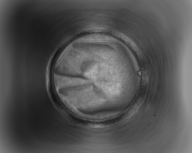 X0000087550582200705181108