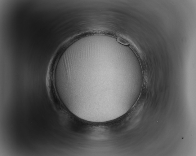 X0000087550583200705181108