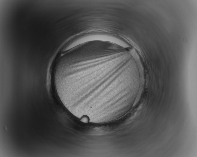 X0000087550584200705181108