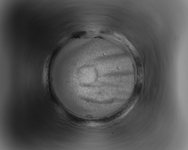 X0000087550585200705181108