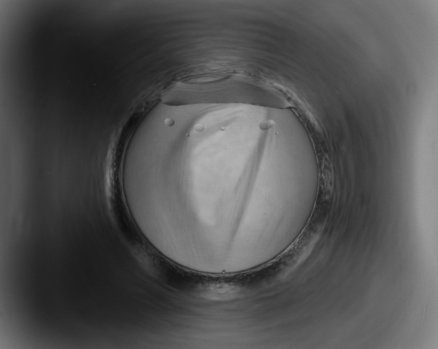 X0000087550590200705181108