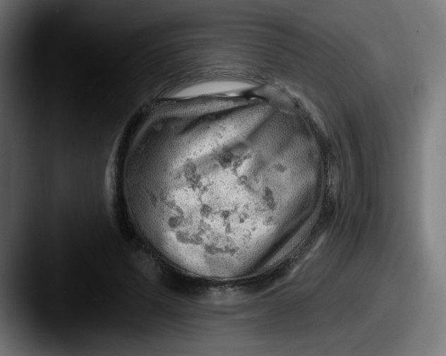 X0000087550591200705181108