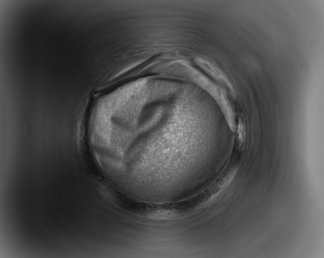 X0000087550593200705181108