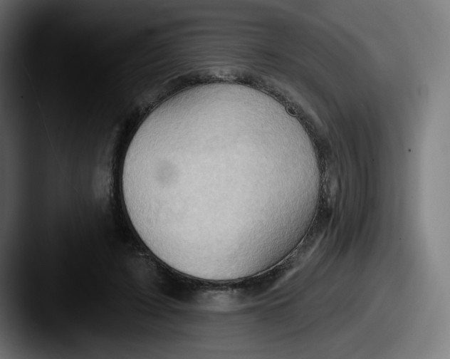 X0000087550595200705181108