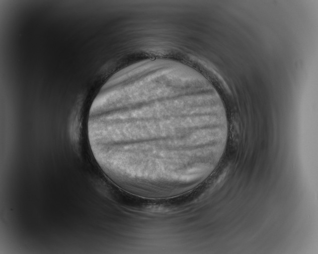 X0000087550596200705181108