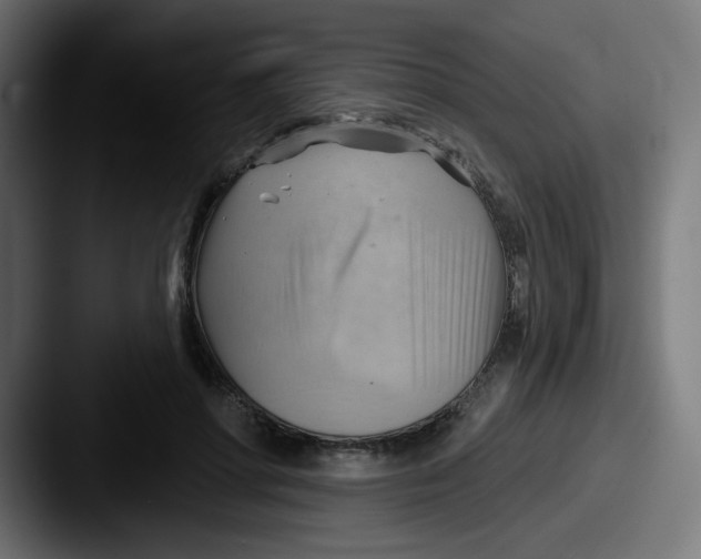 X0000087550598200705181108