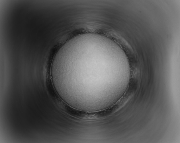 X0000087550599200705181108