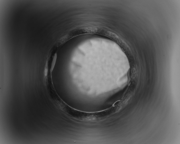 X0000087550600200705181108