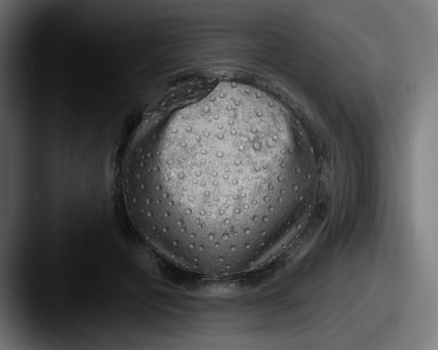 X0000087550601200705181108