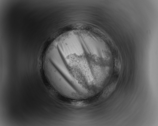 X0000087550602200705181108