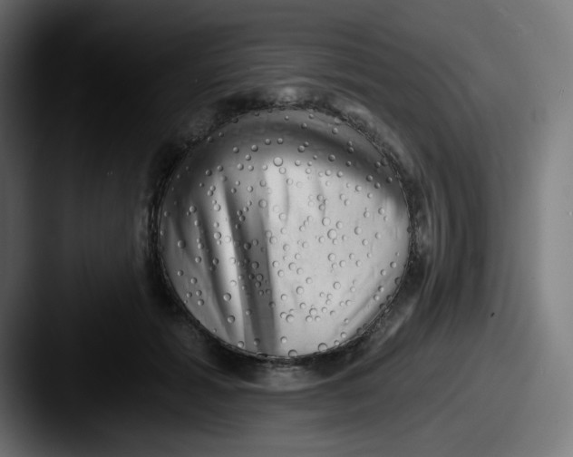 X0000087550605200705181108