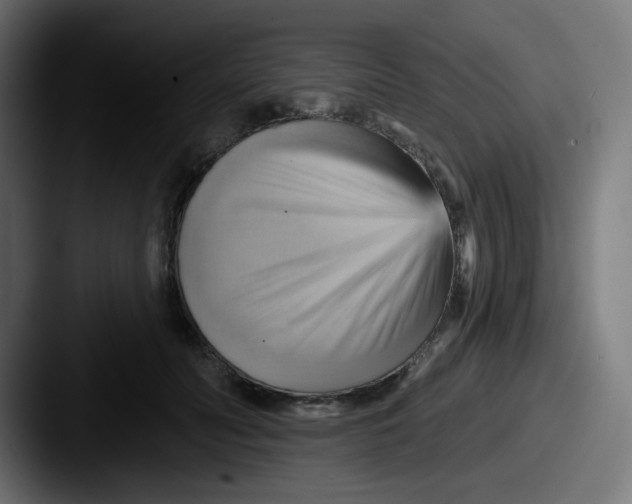 X0000087550606200705181108