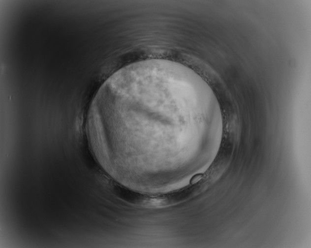 X0000087550610200705181108