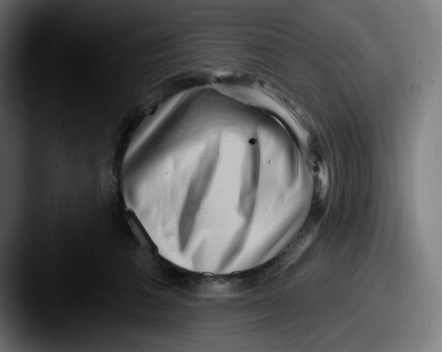 X0000087550613200705181108