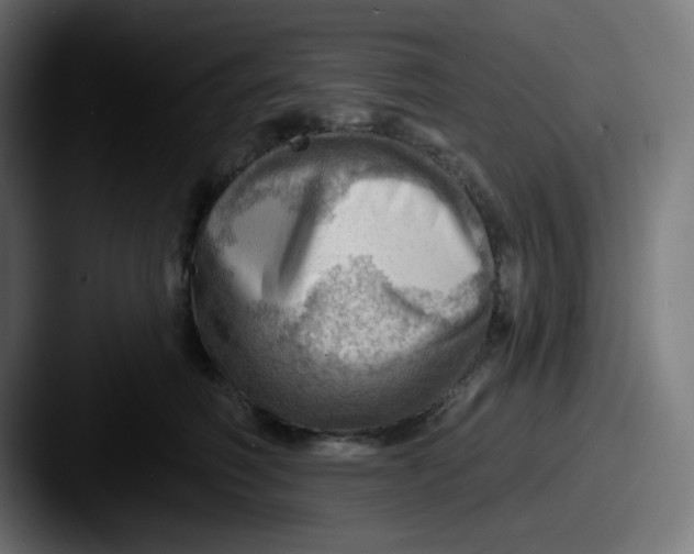 X0000087550614200705181108